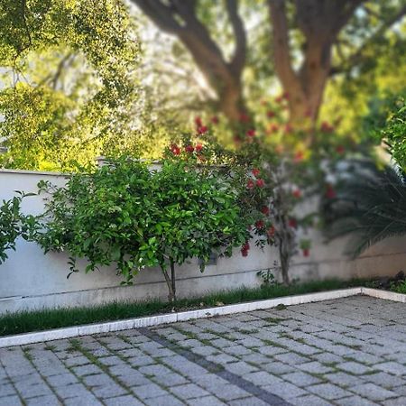 Apartments Villa Alba ドゥブロブニク エクステリア 写真