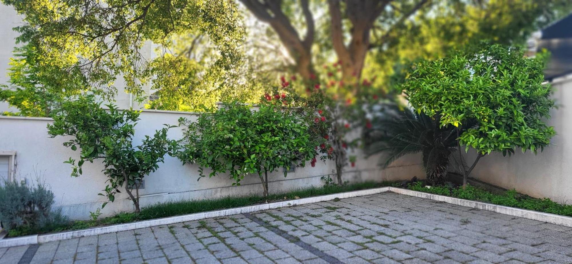 Apartments Villa Alba ドゥブロブニク エクステリア 写真
